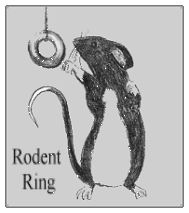 The Rodent Ring's Homepage